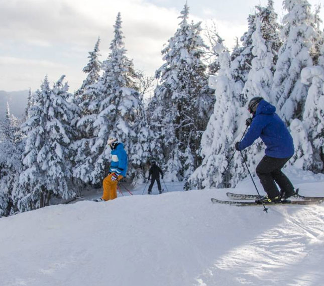 Online Hotel Reservations in NT, CA